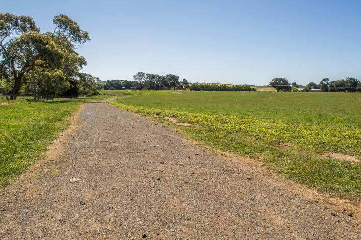 20201108 dsc 2385
