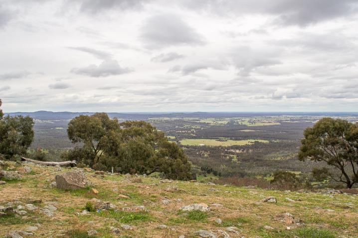 20200924 dsc 2244